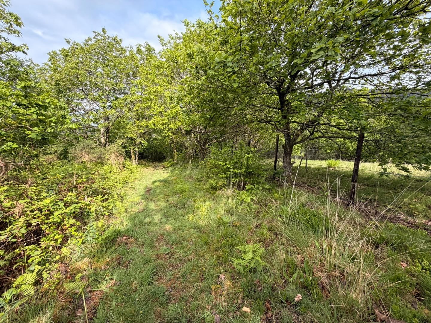 Approximately 5.706 acres adjacent to, Afan Valley Road, Cwmavon, Port Talbot SA12 9HA